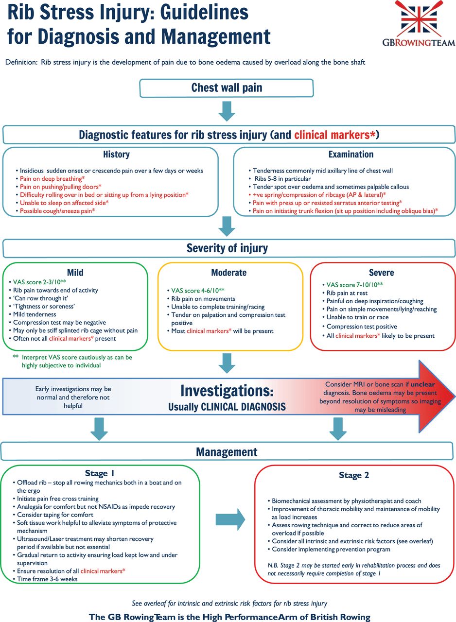 Supporting Rib Injury Rib Stress Injury: Quick Guide for Rehab Professionals – Power House Physio