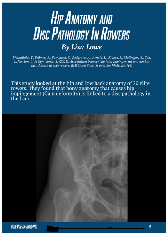Lisa Lowe Hip Anatomy and Disc Pathology in Rowers